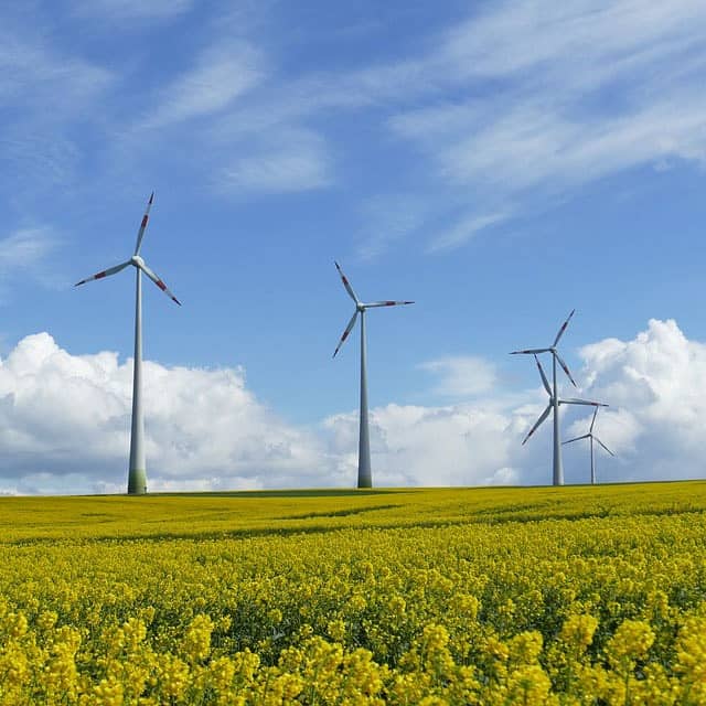 Acoustique environnementale - Parc éolien